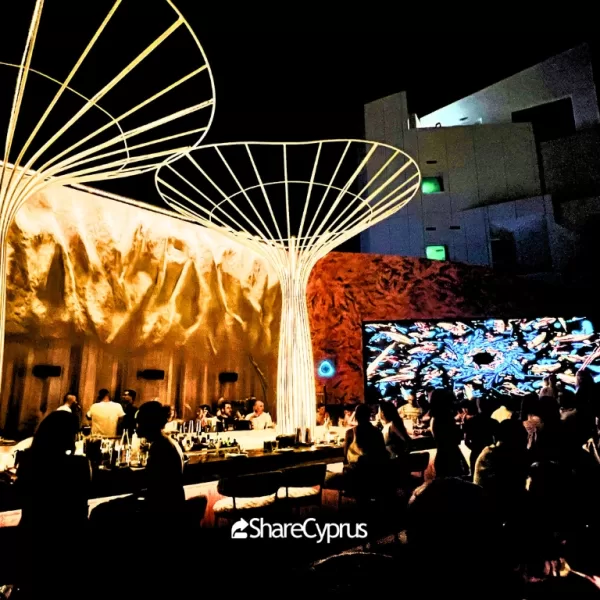Seline Rooftop Bar and Restaurant Nicosia - Bar Area