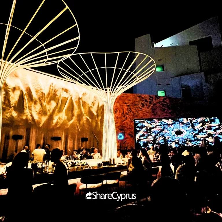 Seline Rooftop Bar and Restaurant Nicosia - Bar Area